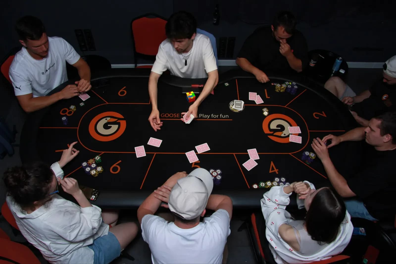 Goosegame