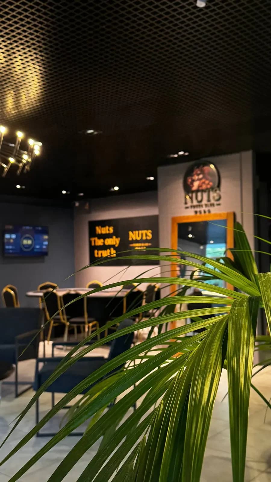 Nuts Club
